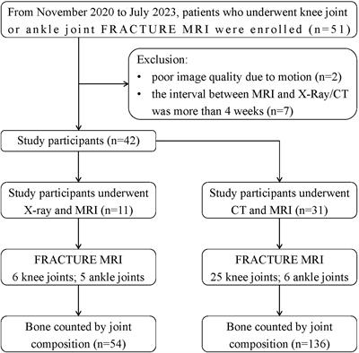 Bone injury imaging in knee and ankle joints using fast-field-echo resembling a CT using restricted echo-spacing MRI: a feasibility study